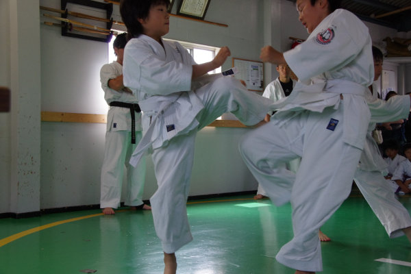 sjun (133).jpg